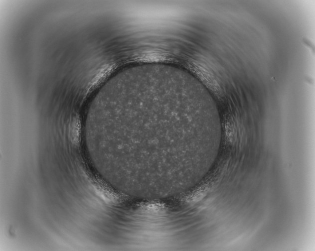 X0000093370304200710251200