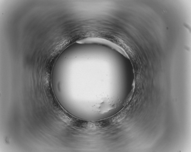 X0000093370305200710251200