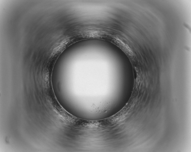 X0000093370306200710251200