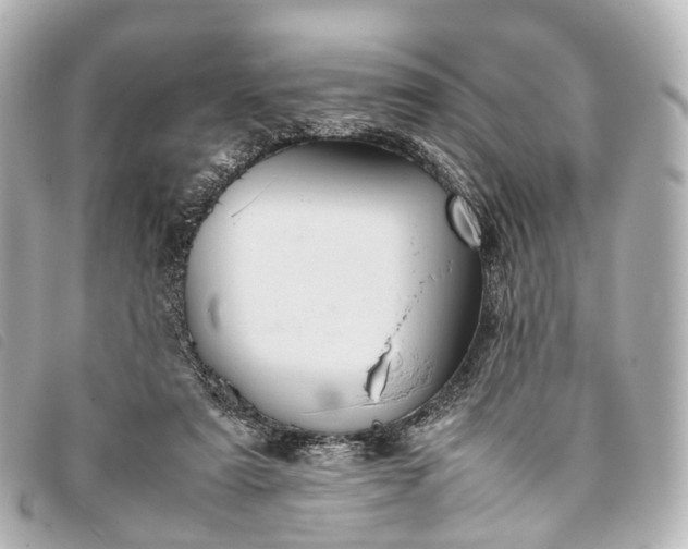 X0000093370307200710251200