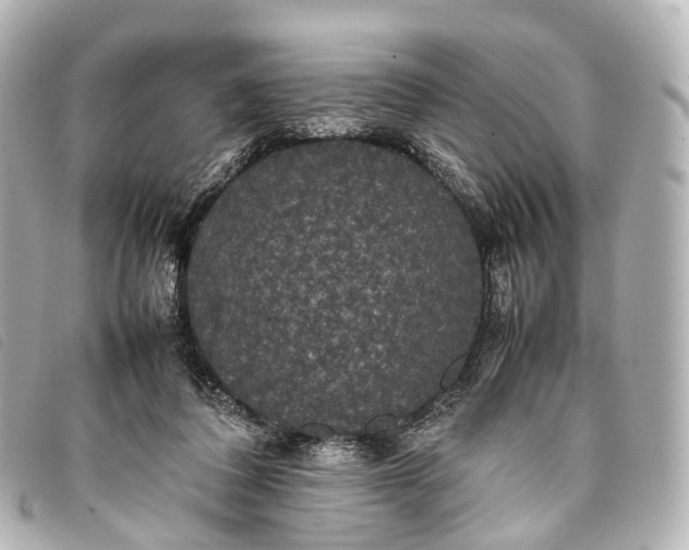 X0000093370308200710251200