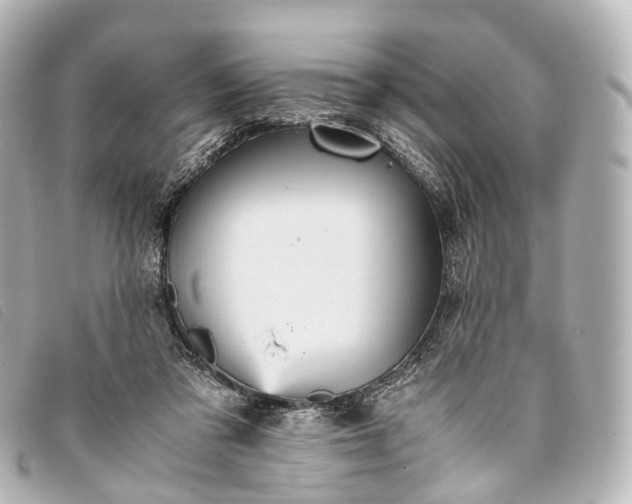 X0000093370309200710251200