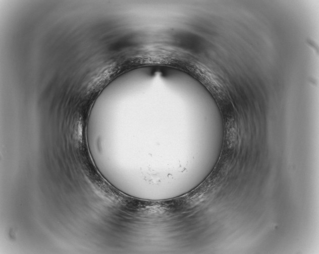 X0000093370310200710251200