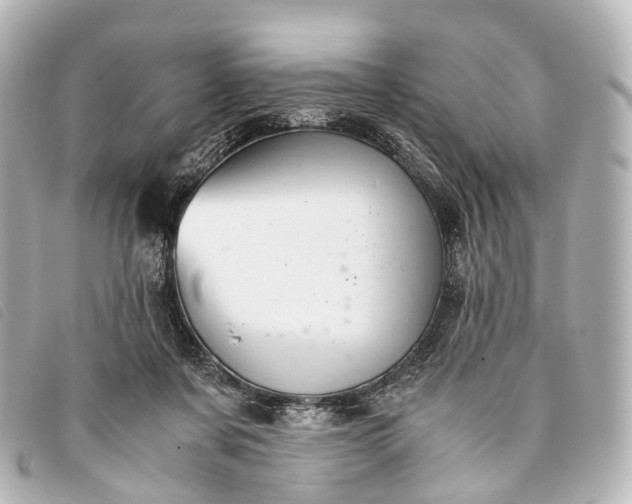 X0000093370311200710251200