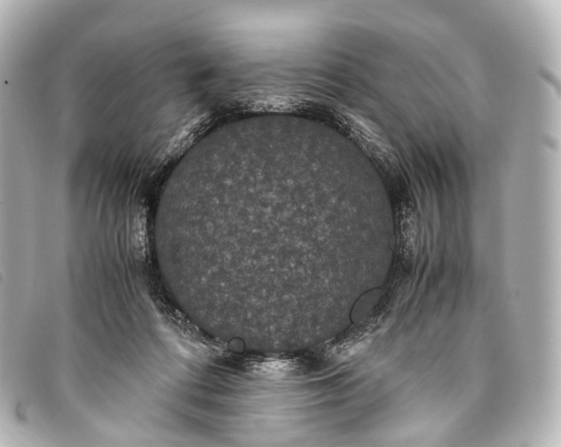 X0000093370312200710251200