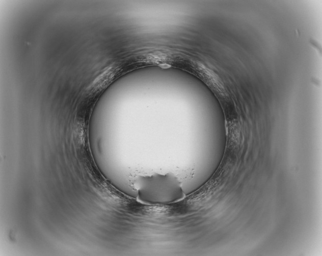 X0000093370313200710251200