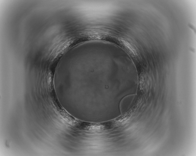 X0000093370314200710251159