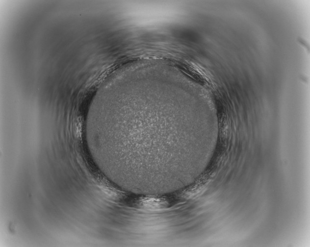 X0000093370315200710251159