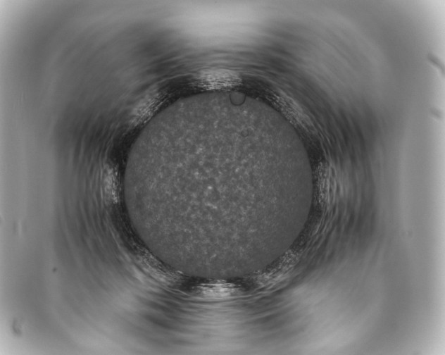 X0000093370316200710251159