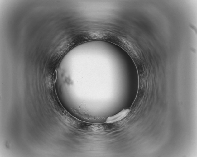 X0000093370317200710251159