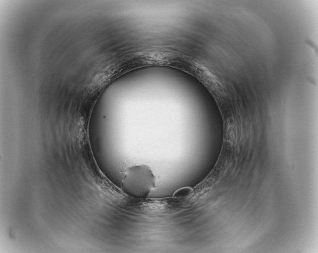 X0000093370318200710251159