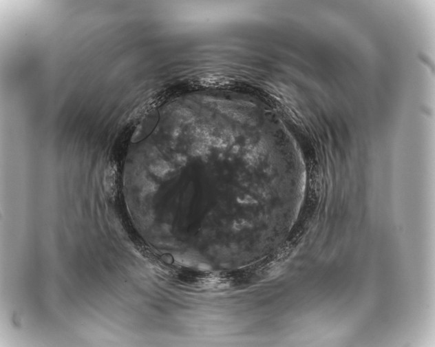 X0000093370319200710251159