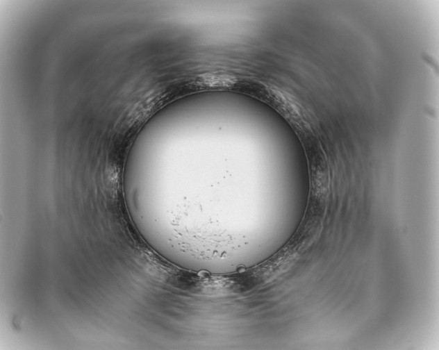 X0000093370321200710251159