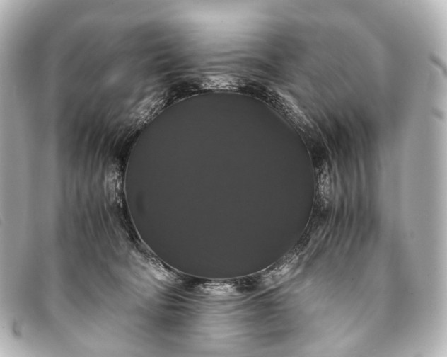 X0000093370322200710251159