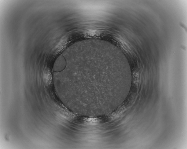 X0000093370324200710251159