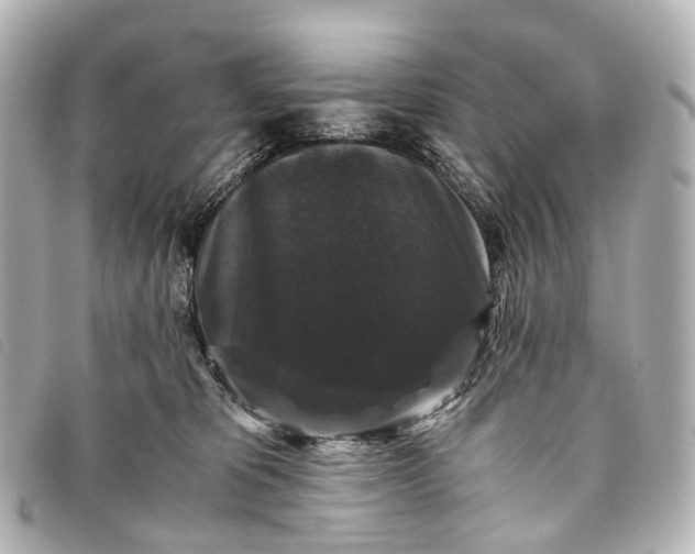 X0000093370325200710251159