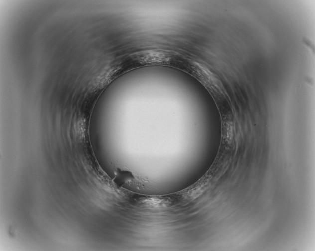 X0000093370326200710251159