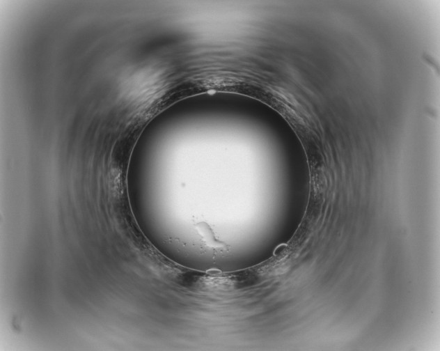 X0000093370327200710251159