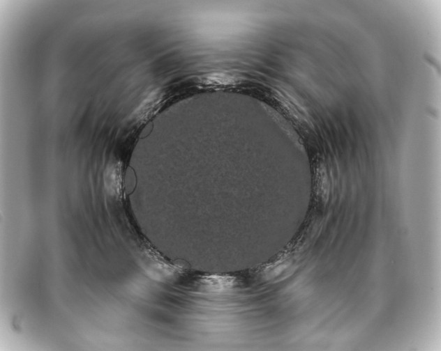 X0000093370328200710251159