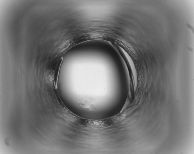 X0000093370329200710251159