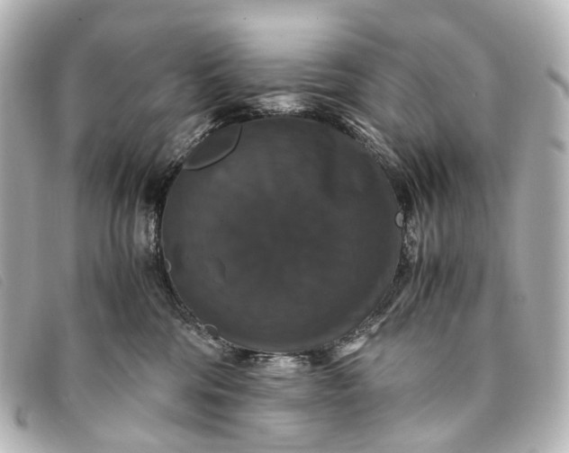 X0000093370330200710251159