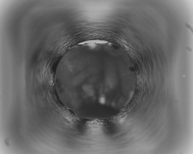 X0000093370331200710251159