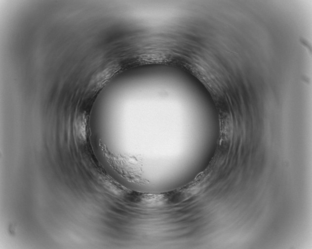 X0000093370334200710251159