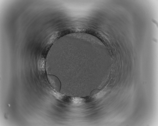 X0000093370336200710251159