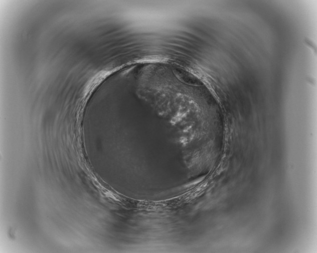 X0000093370337200710251159