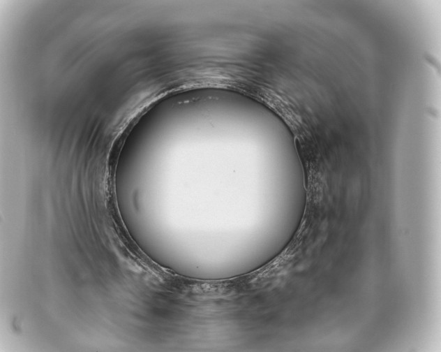 X0000093370338200710251159