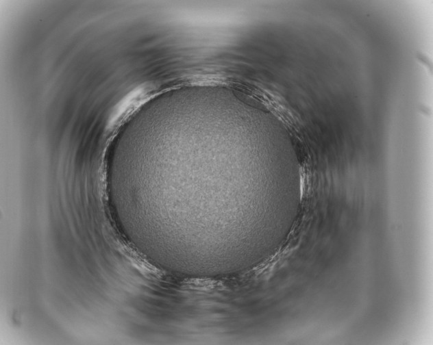 X0000093370339200710251159