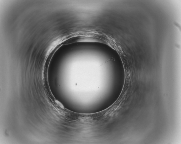 X0000093370340200710251159