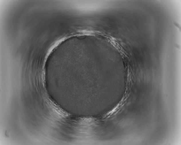 X0000093370342200710251159