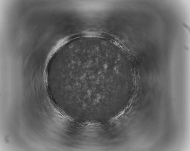 X0000093370343200710251159