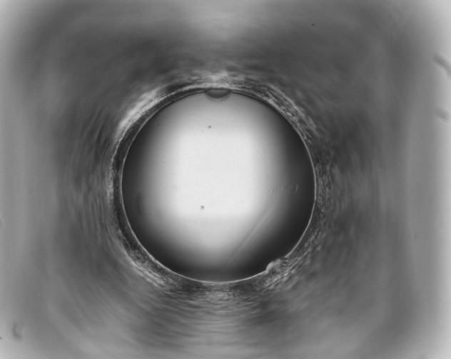 X0000093370344200710251159