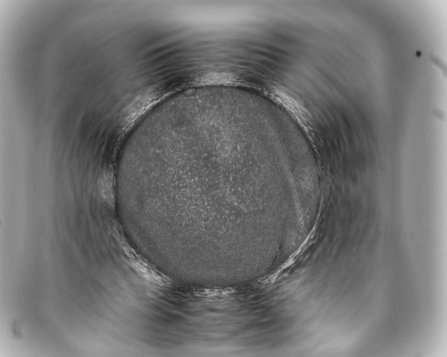 X0000093370345200710251159