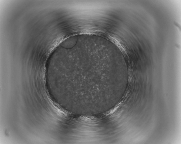 X0000093370346200710251159