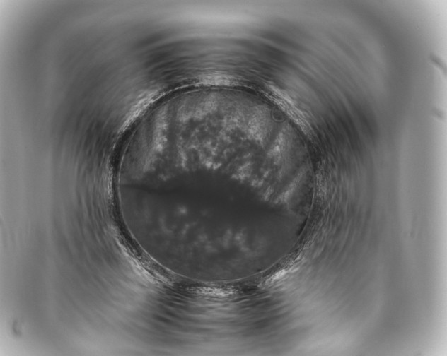 X0000093370347200710251159