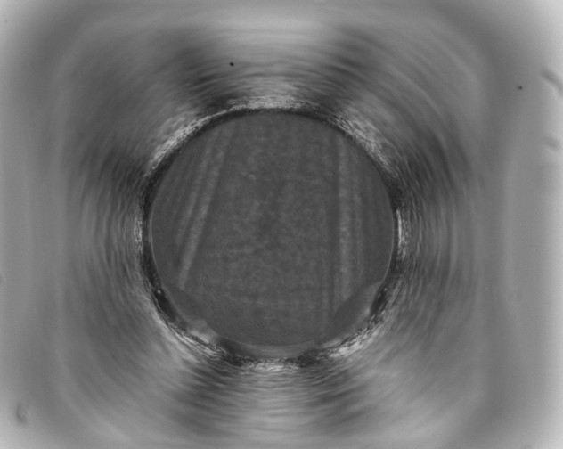 X0000093370348200710251159