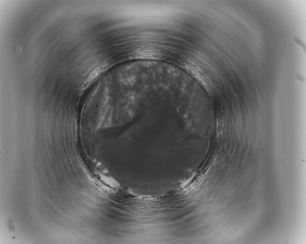 X0000093370349200710251159