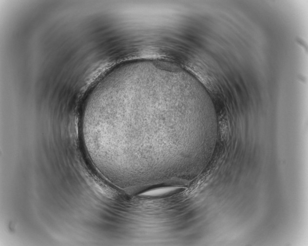 X0000093370350200710251159