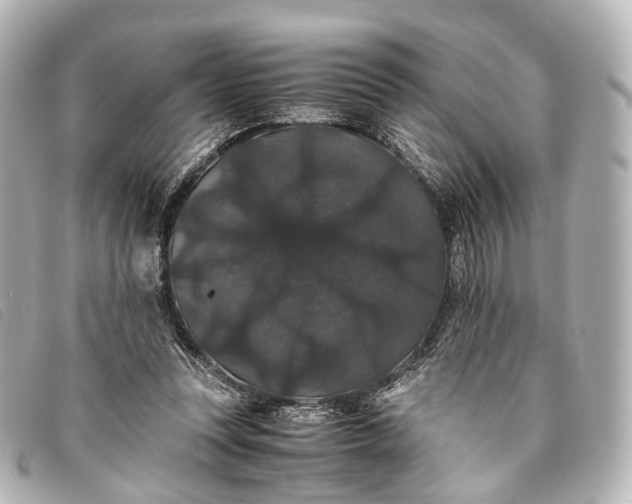 X0000093370351200710251159