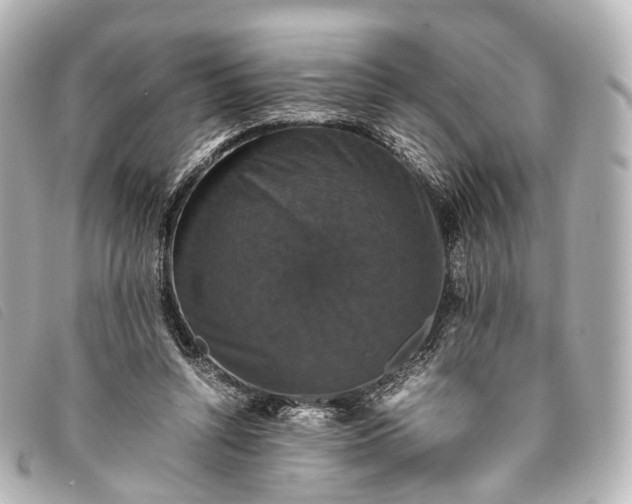 X0000093370352200710251159