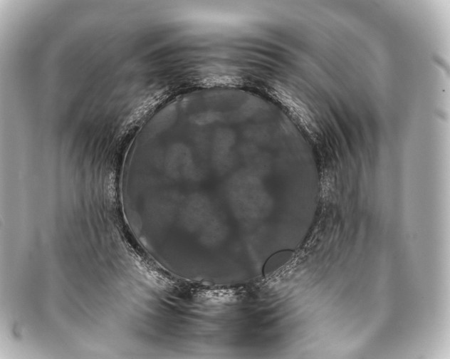 X0000093370353200710251159