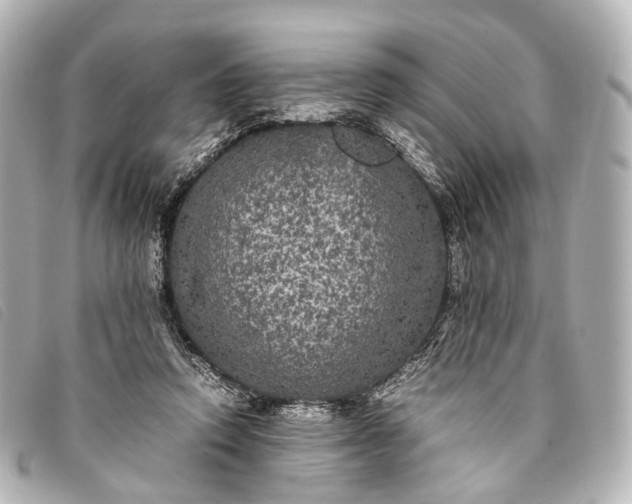 X0000093370354200710251159