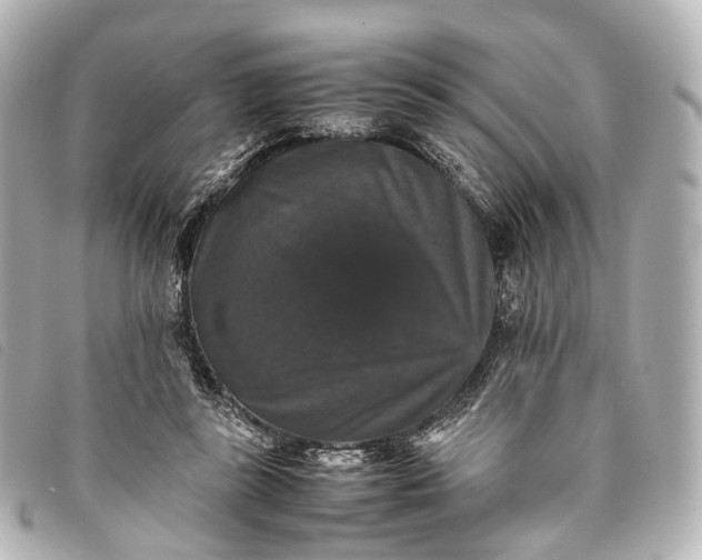 X0000093370355200710251159