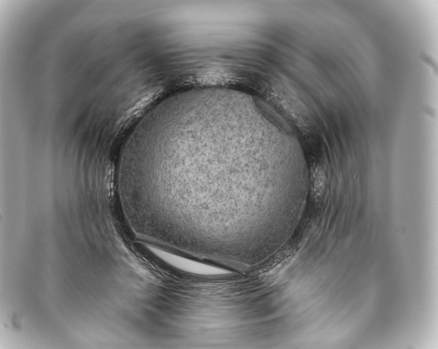 X0000093370356200710251159