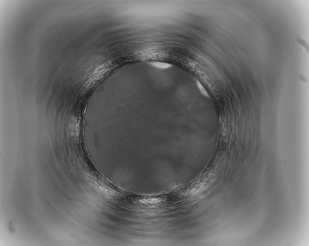 X0000093370357200710251159