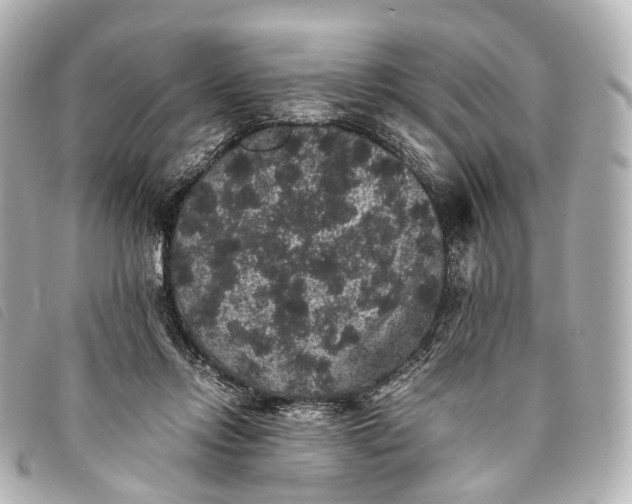 X0000093370358200710251159