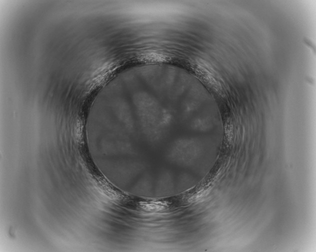 X0000093370359200710251159